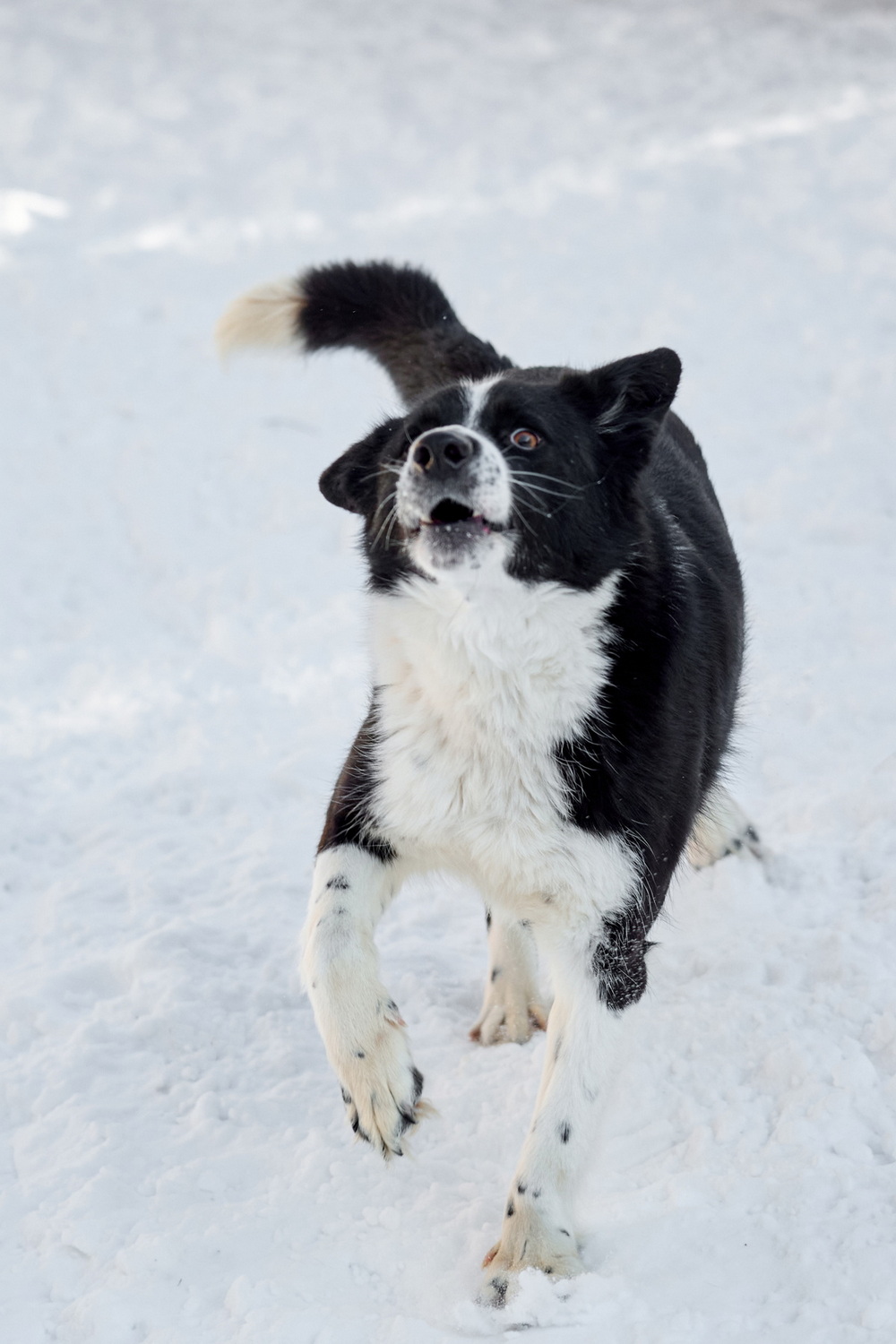 ph: Анна Молодожён