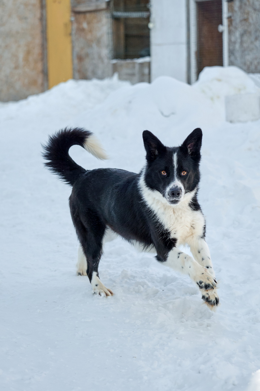 ph: Анна Молодожён
