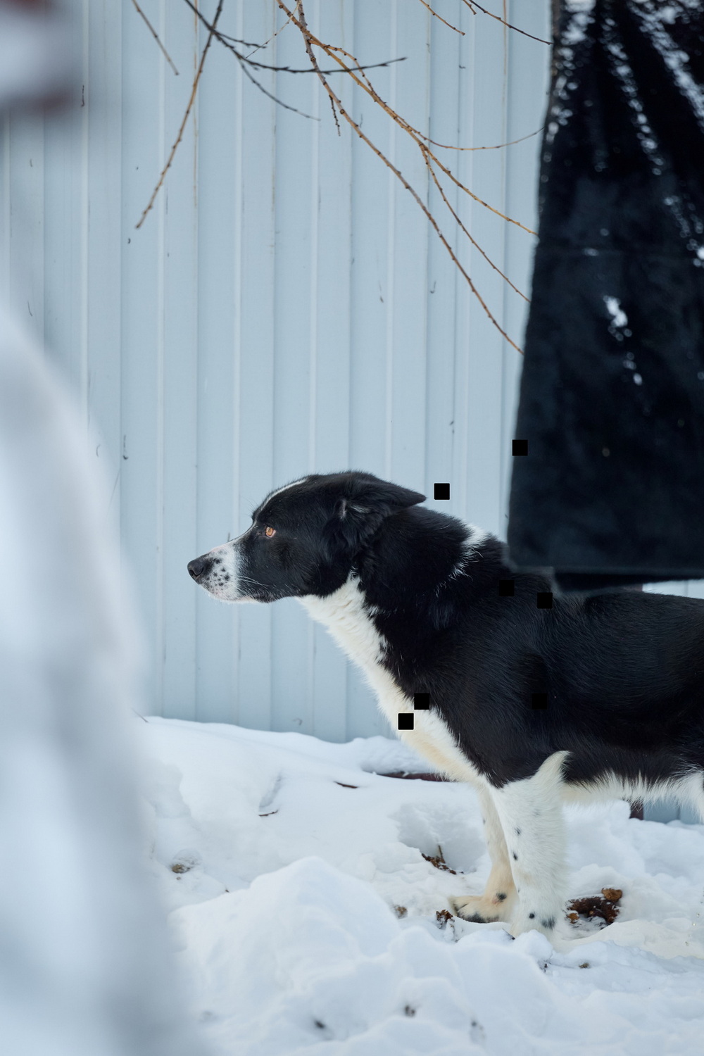 ph: Анна Молодожён