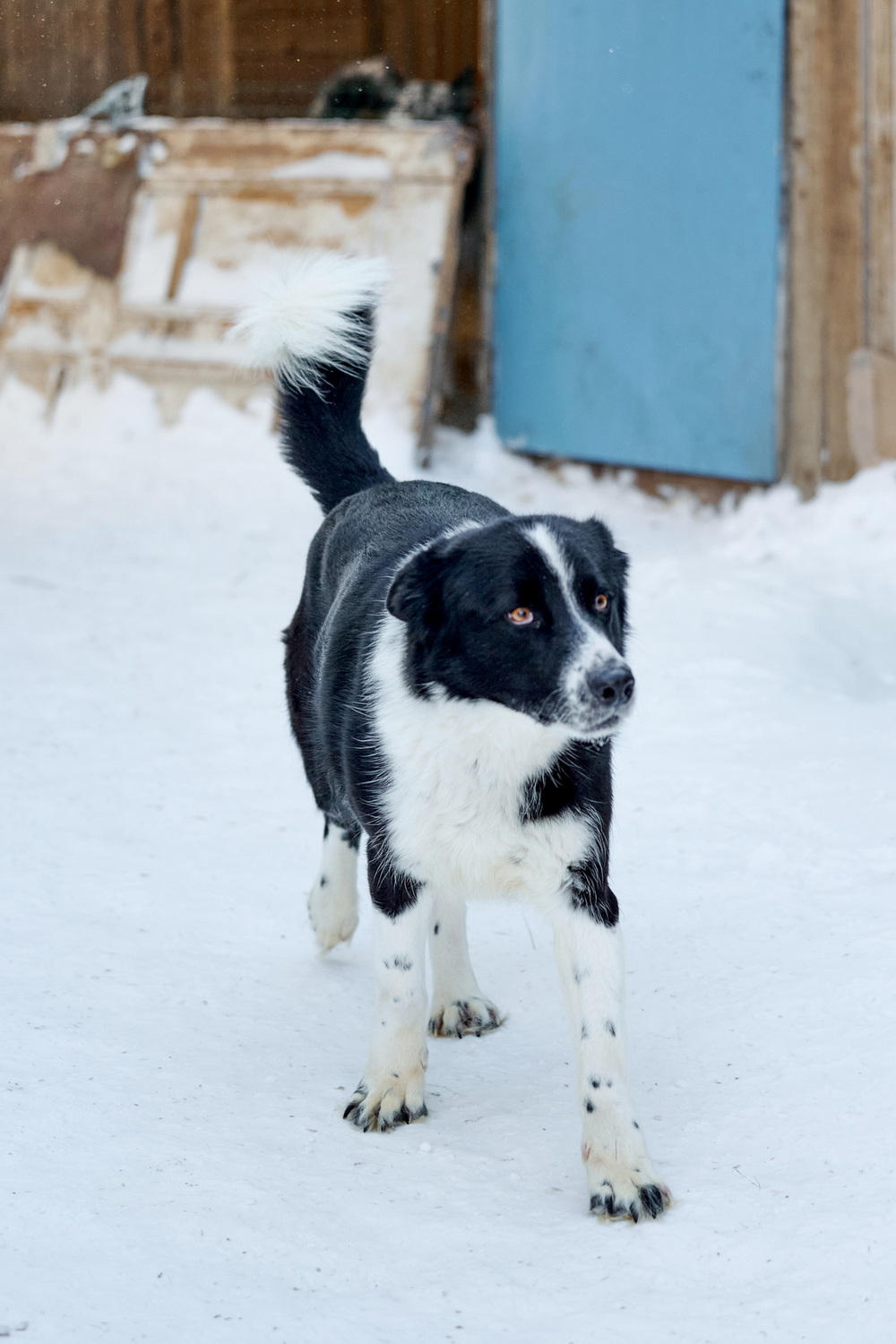 ph: Анна Молодожён