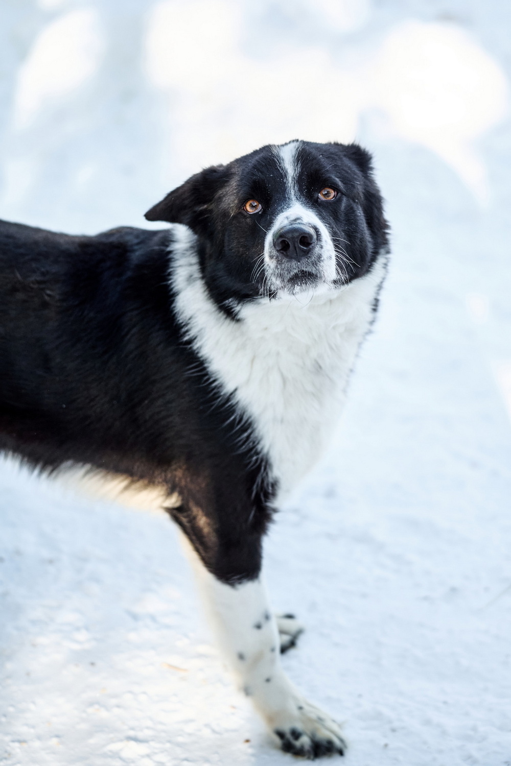 ph: Анна Молодожён