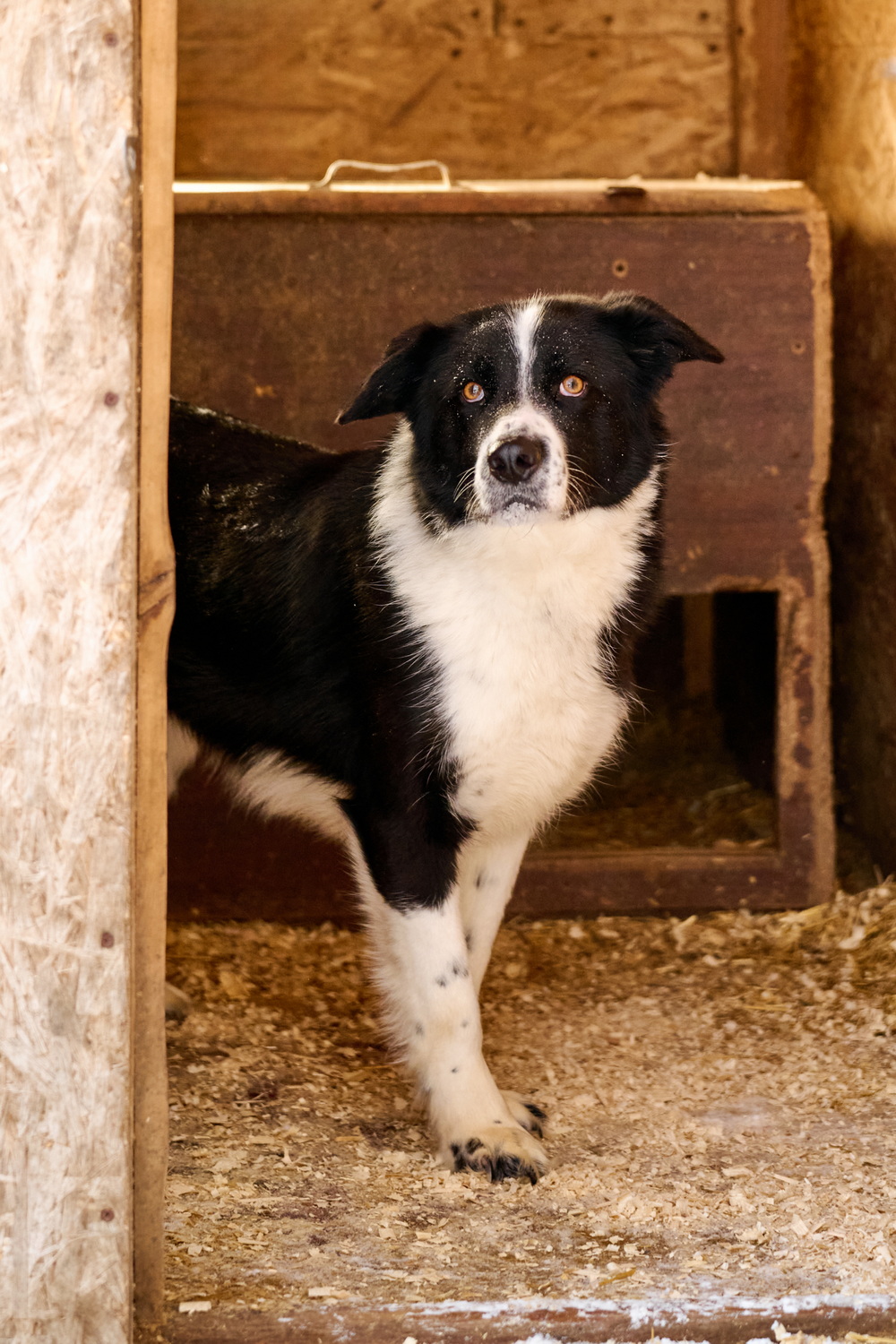 ph: Анна Молодожён