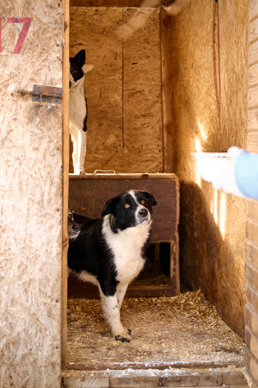 ph: Анна Молодожён