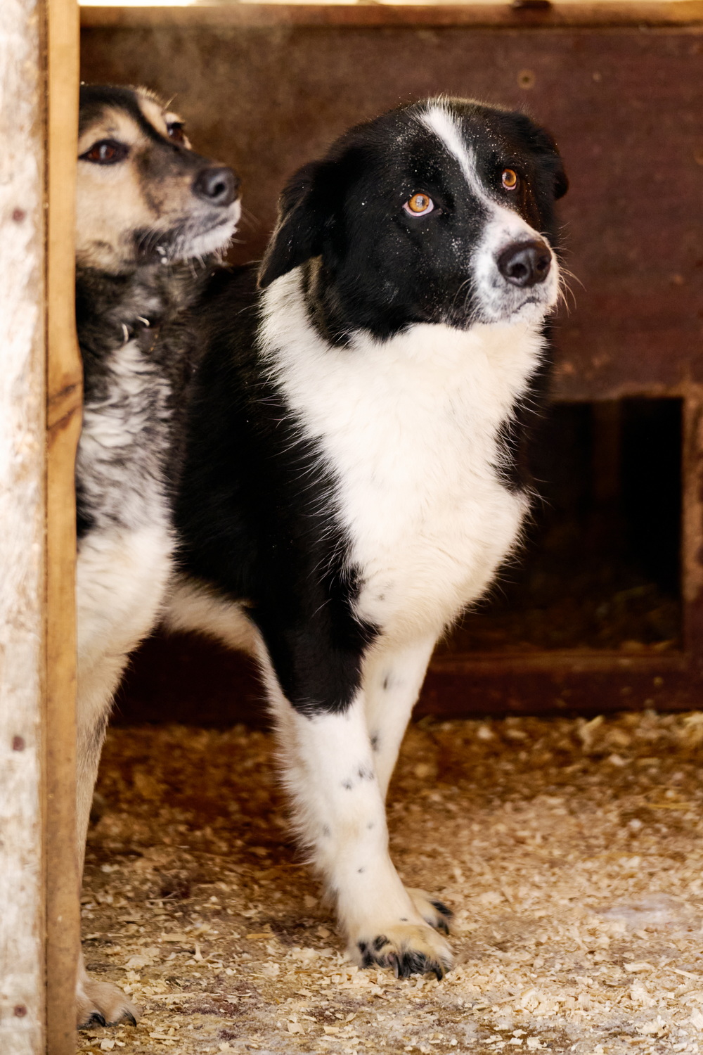 ph: Анна Молодожён