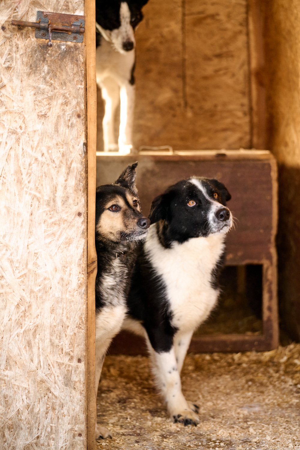 ph: Анна Молодожён