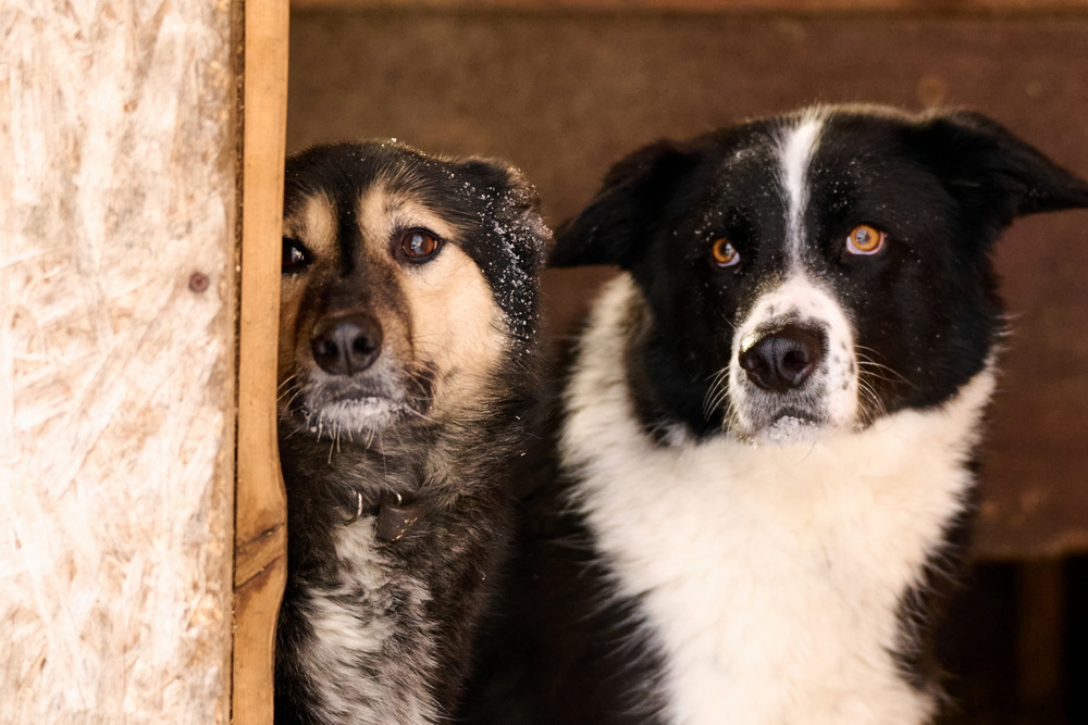 ph: Анна Молодожён