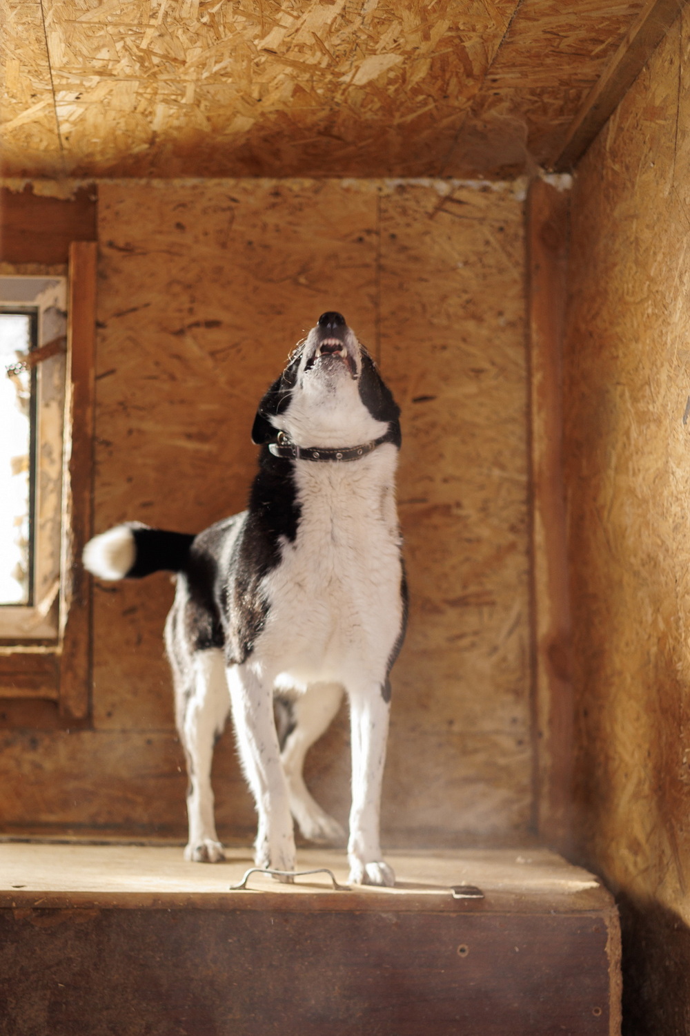 ph: Елена Тимофеева