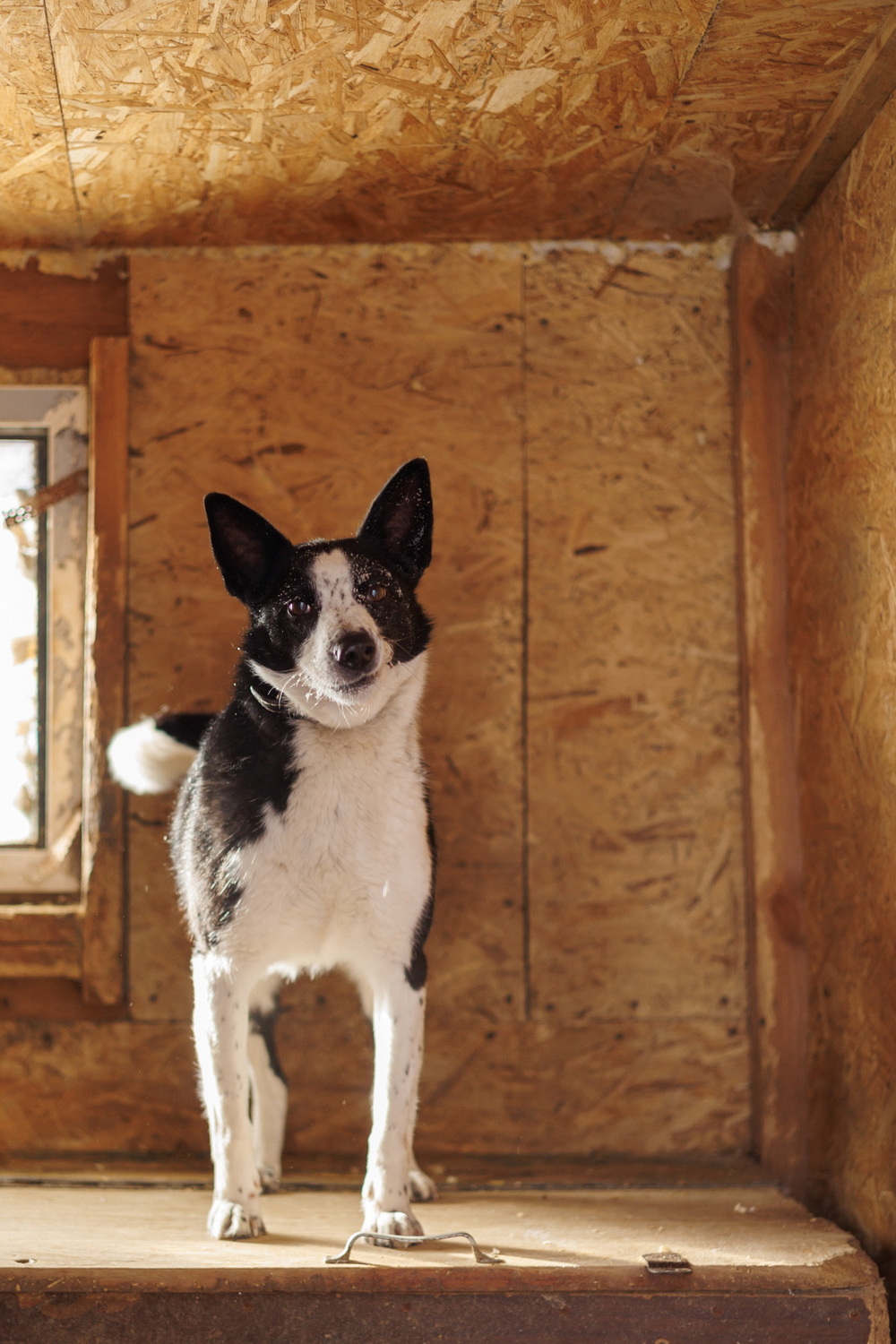 ph: Елена Тимофеева