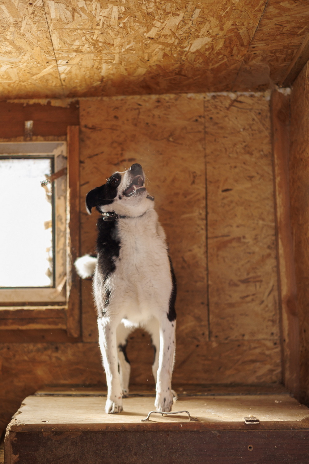 ph: Елена Тимофеева