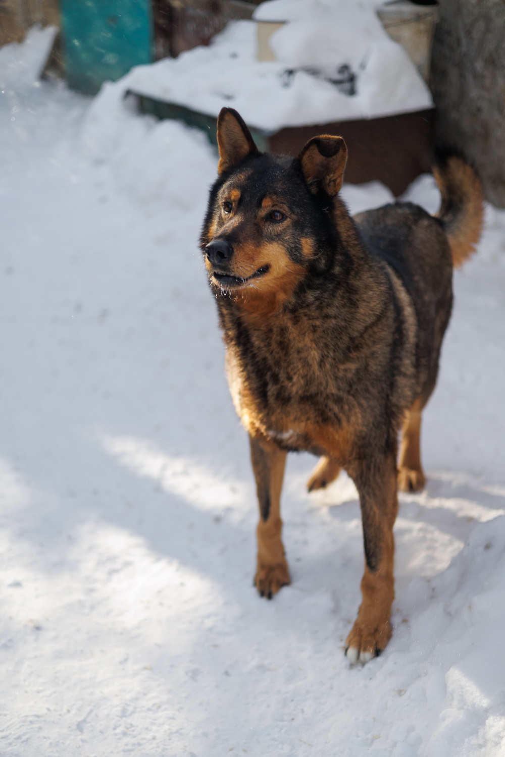 ph: Елена Тимофеева