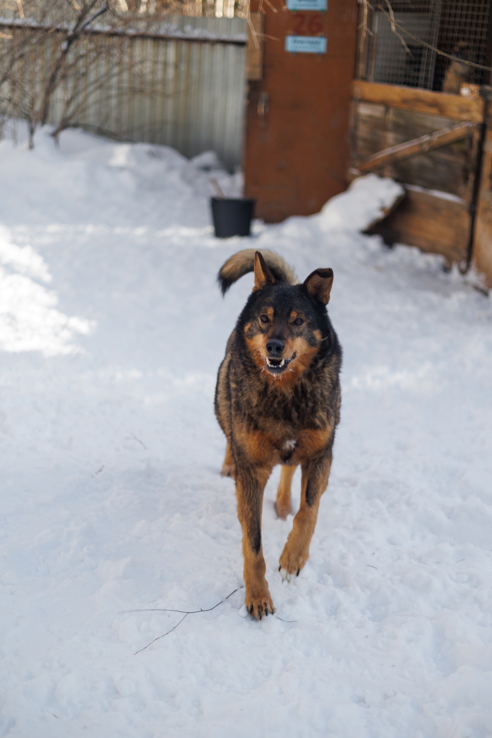 ph: Елена Тимофеева