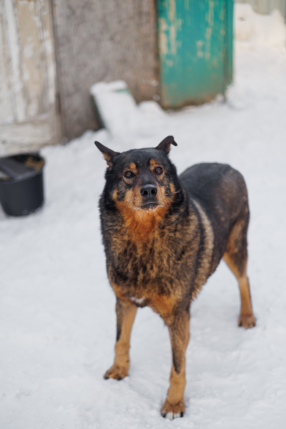 ph: Елена Тимофеева