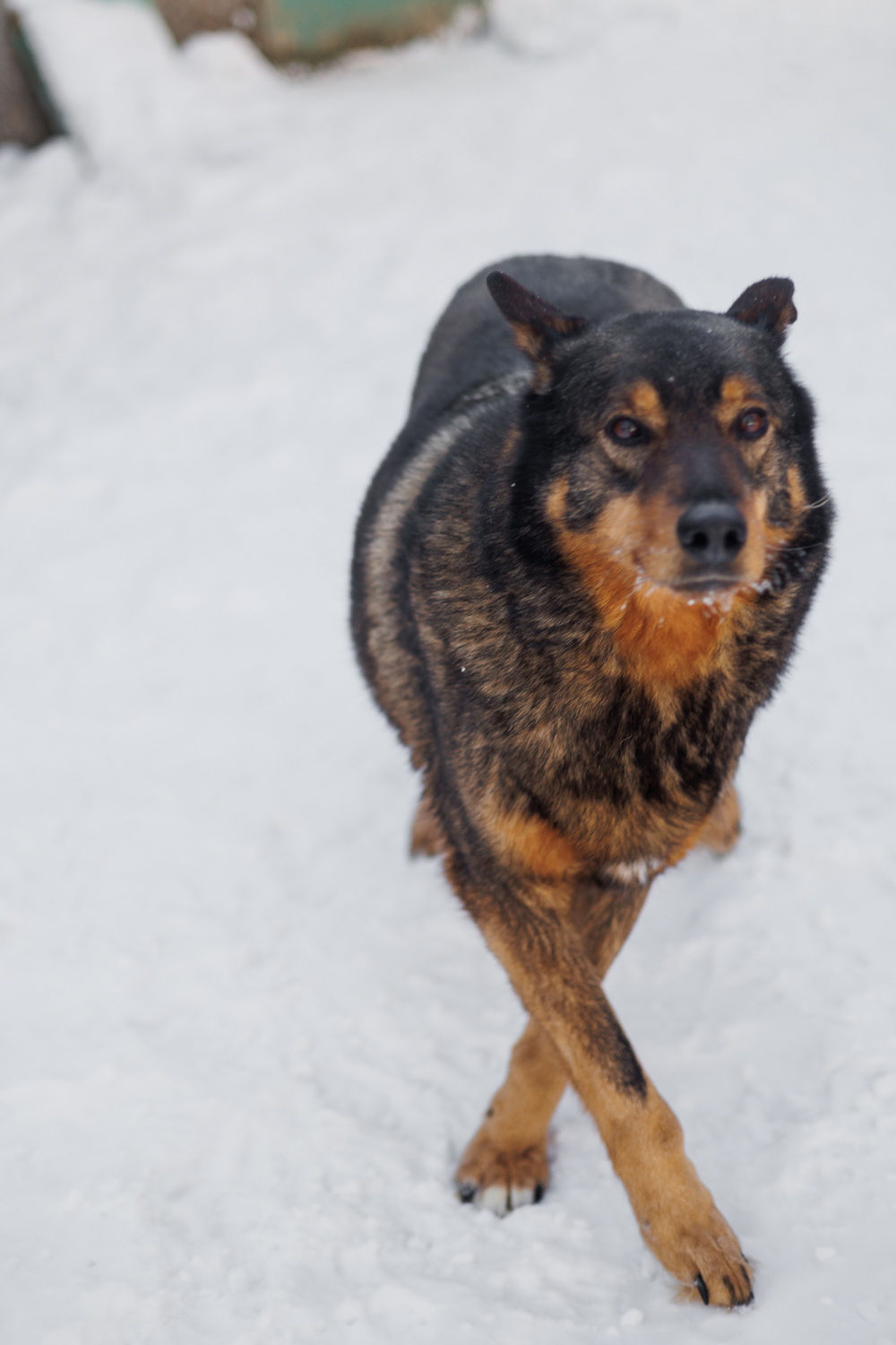 ph: Елена Тимофеева