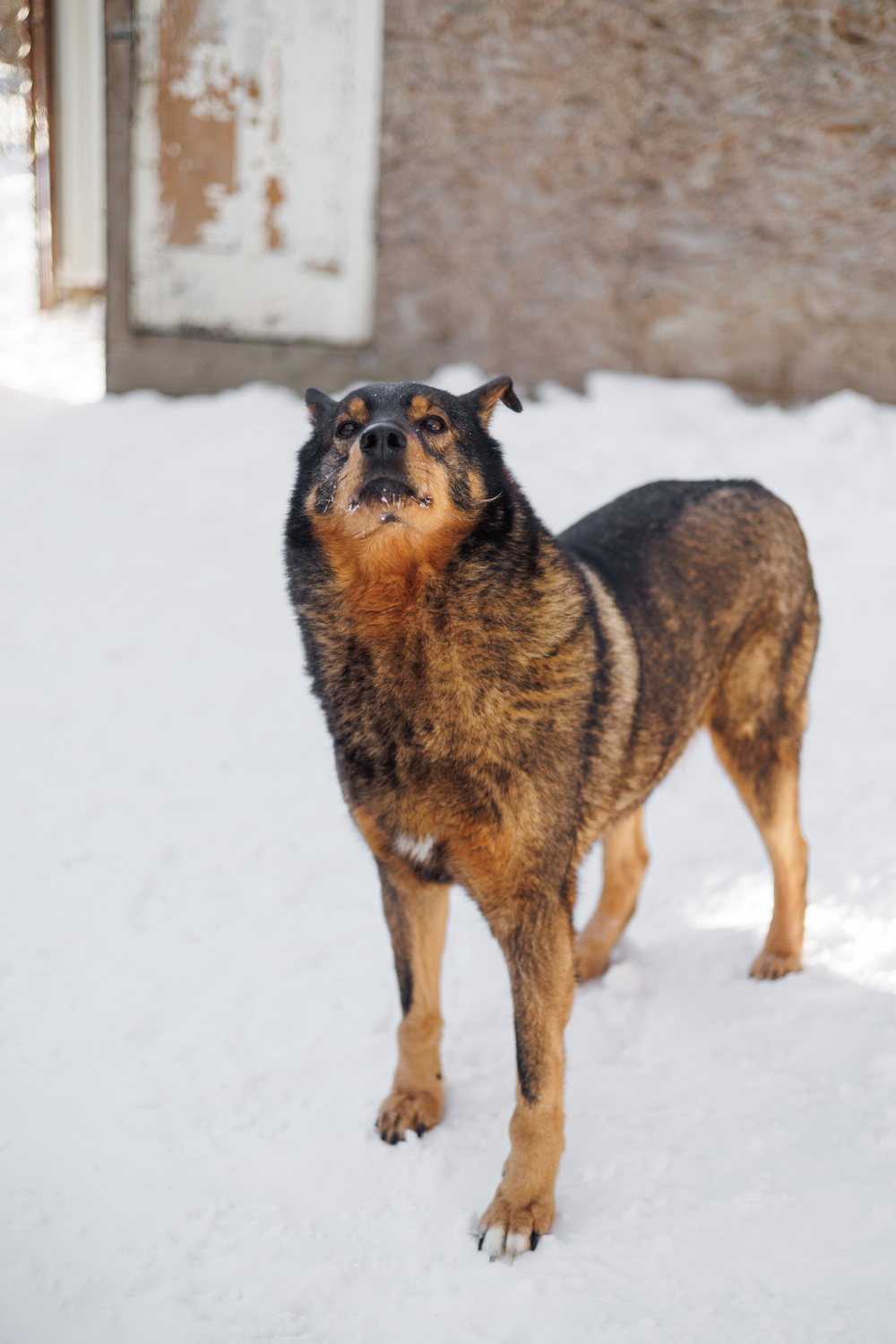 ph: Елена Тимофеева