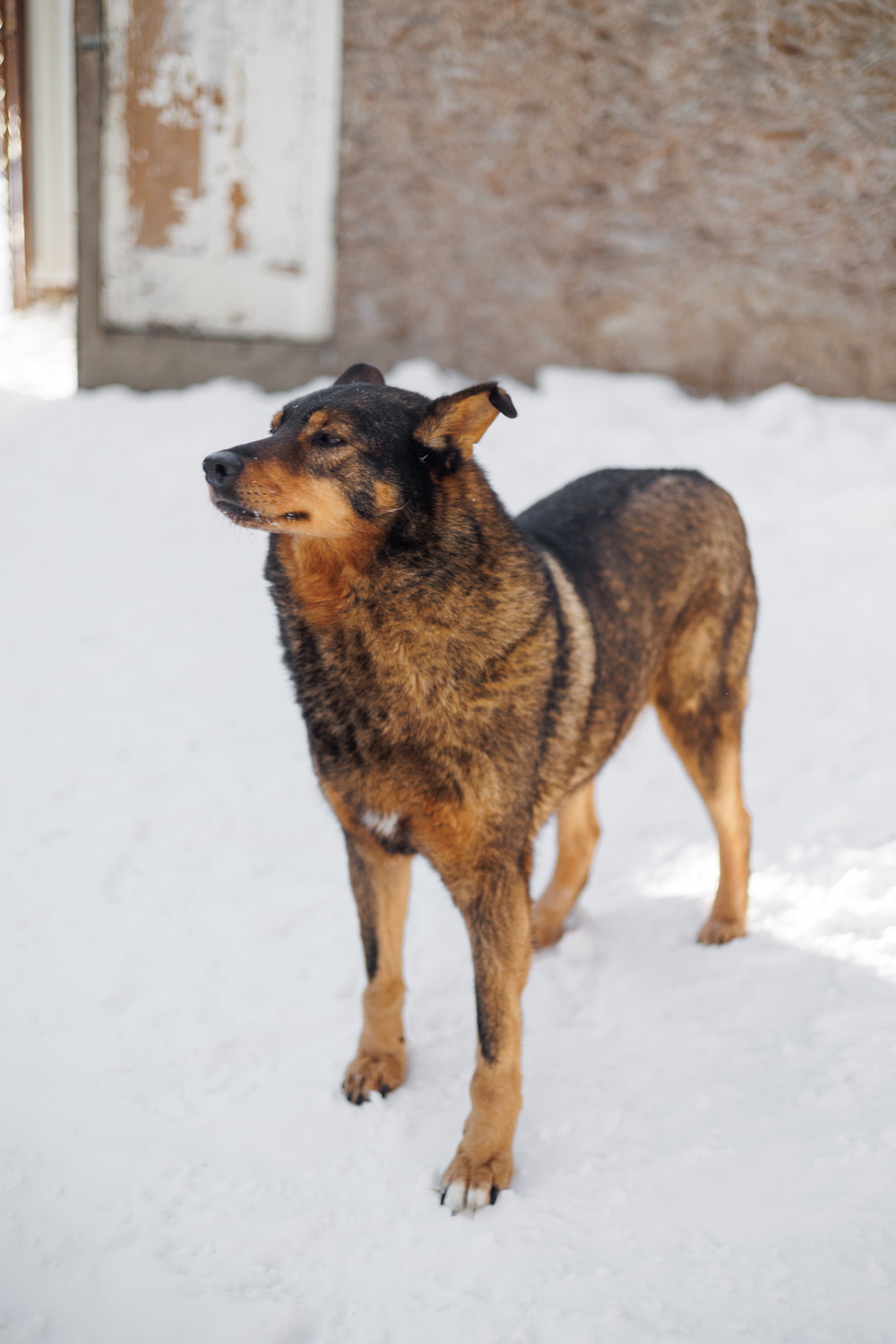 ph: Елена Тимофеева