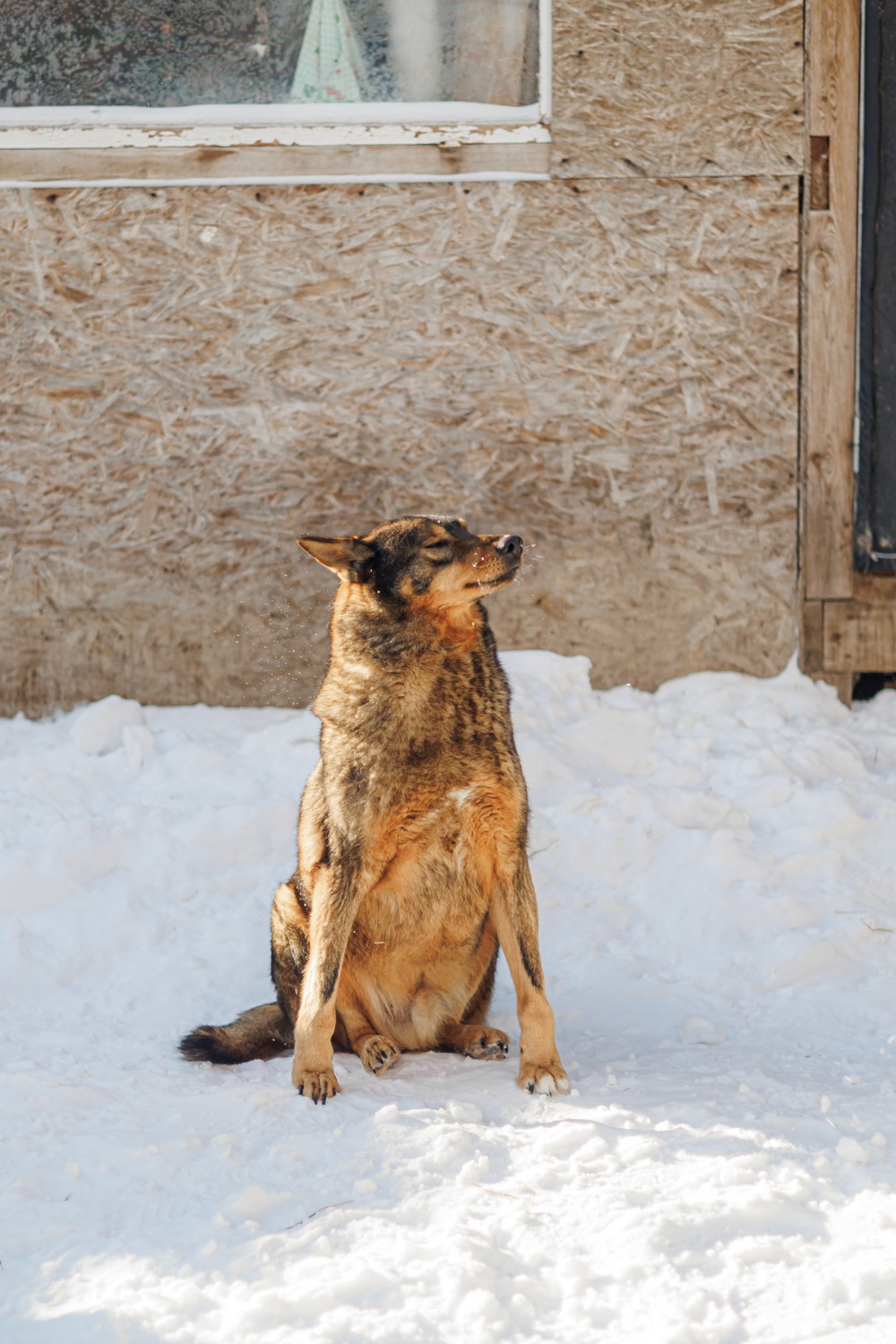 ph: Елена Тимофеева