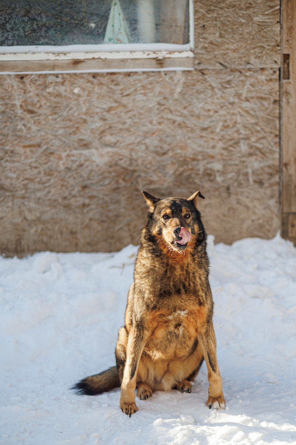 ph: Елена Тимофеева