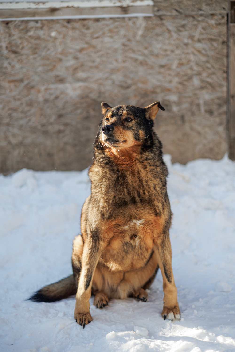 ph: Елена Тимофеева