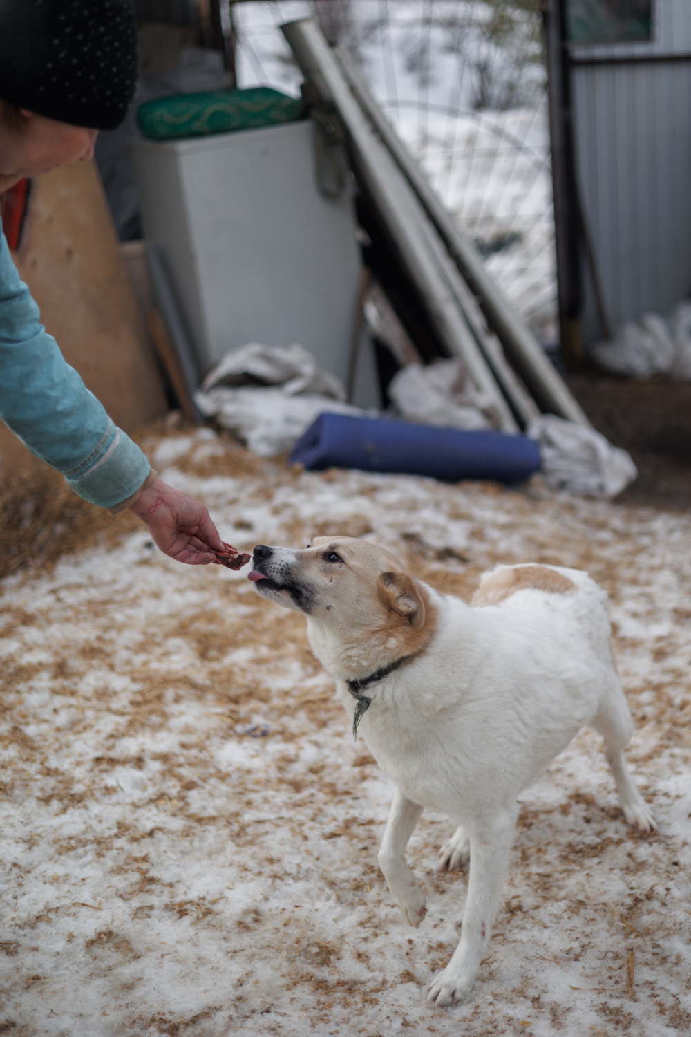 ph: Елена Тимофеева