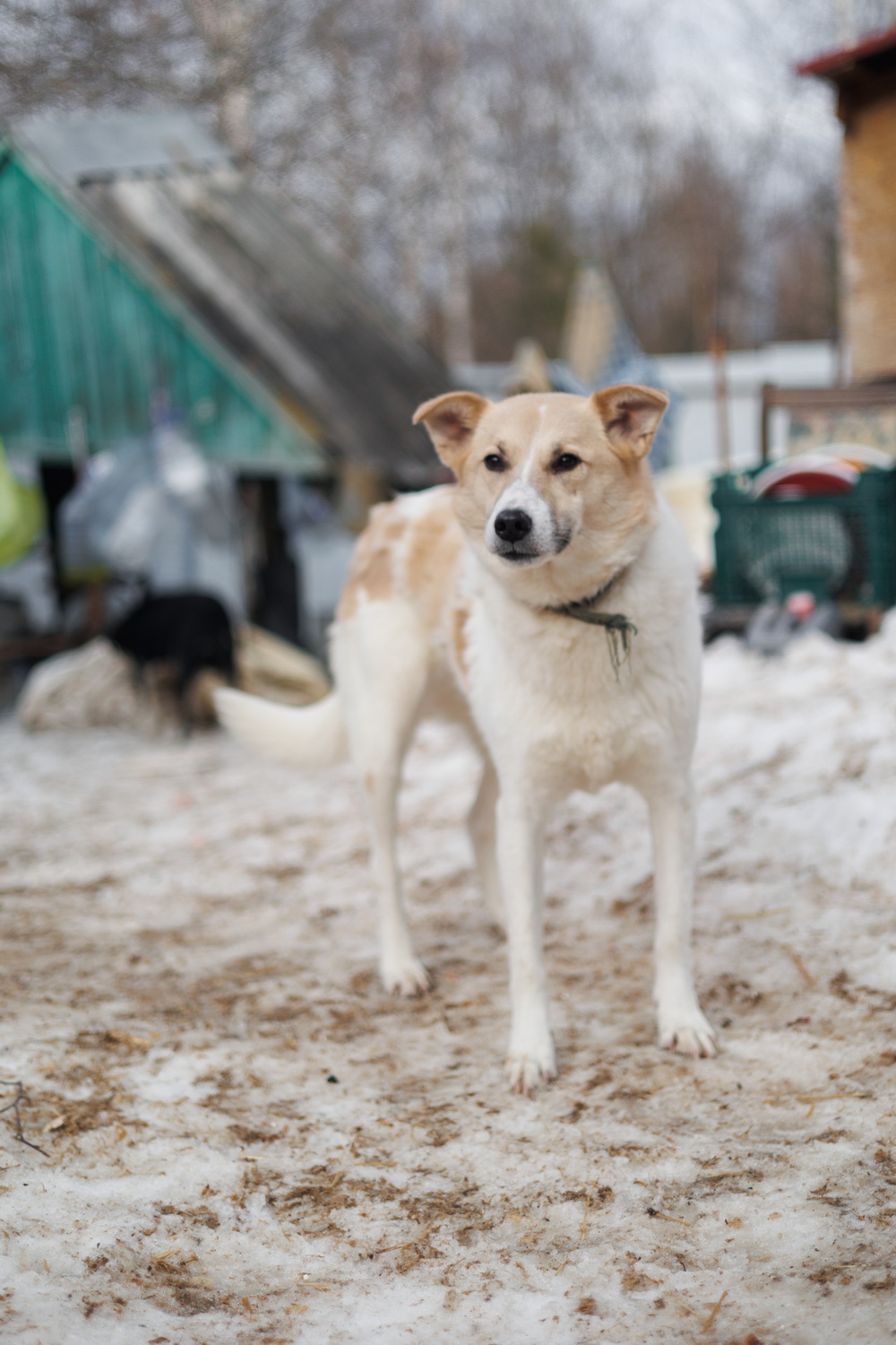 ph: Елена Тимофеева