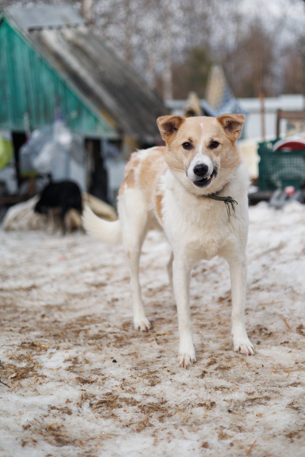 ph: Елена Тимофеева