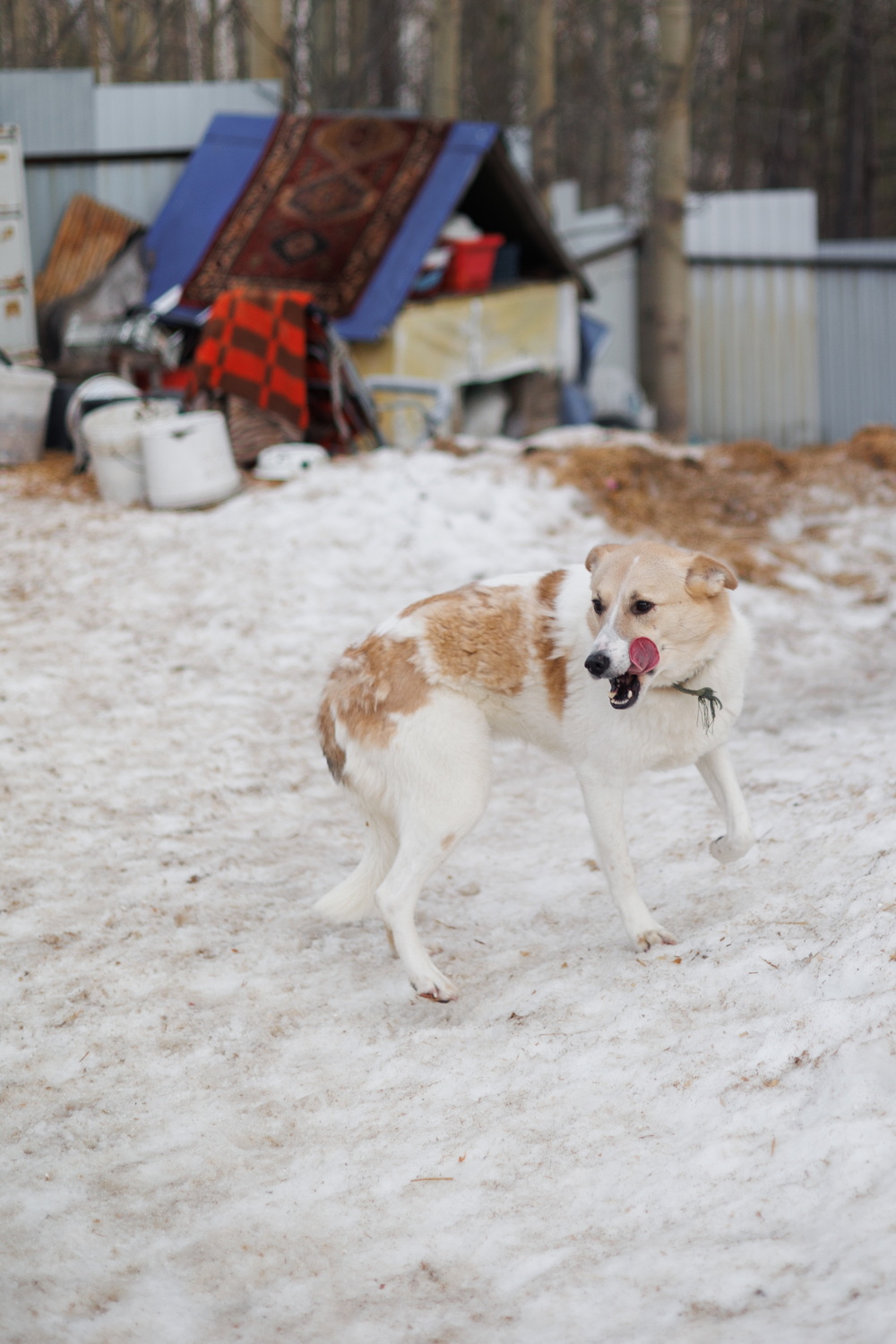 ph: Елена Тимофеева