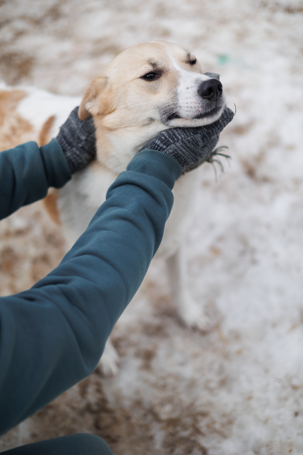 ph: Елена Тимофеева