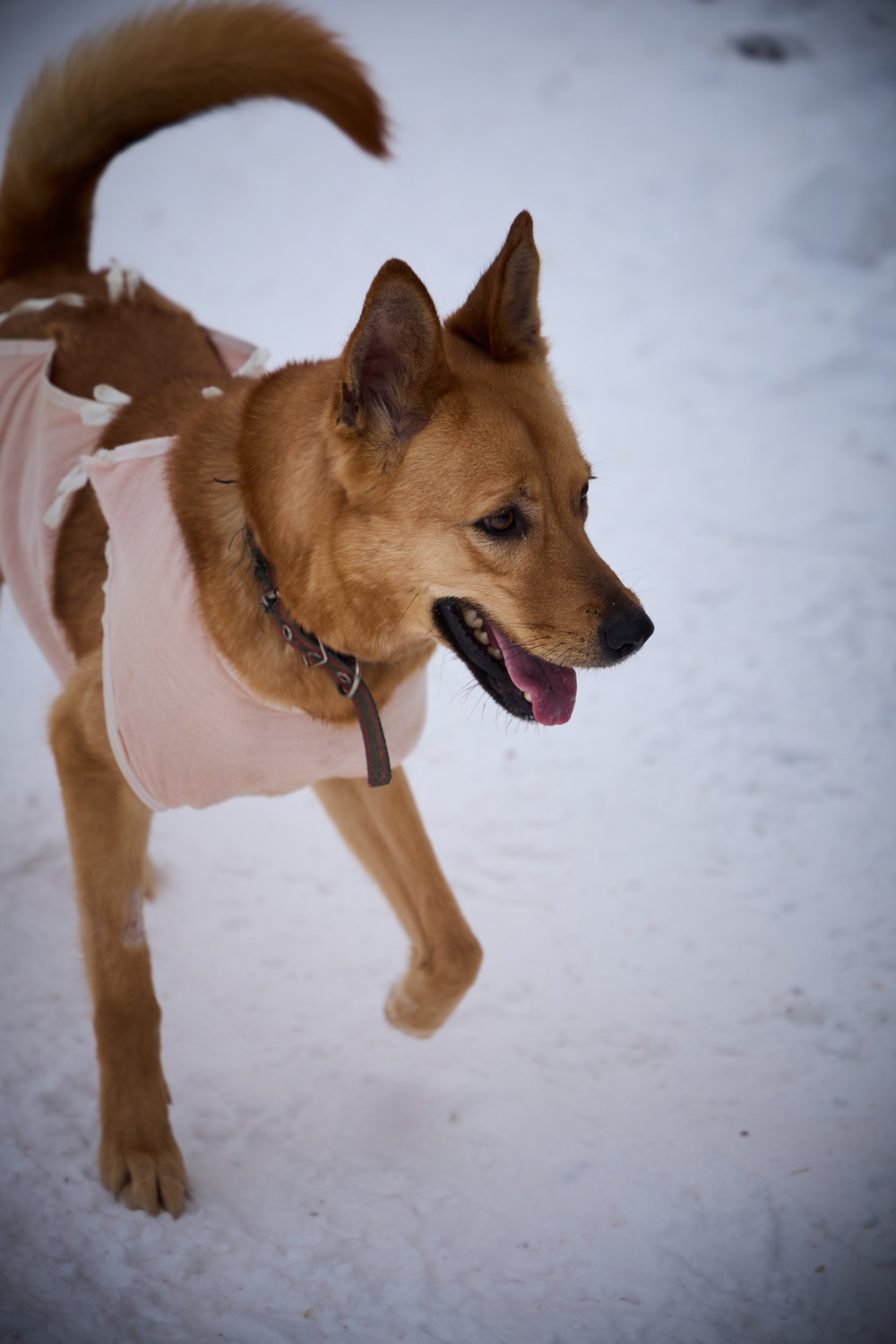 ph: Николай Коба