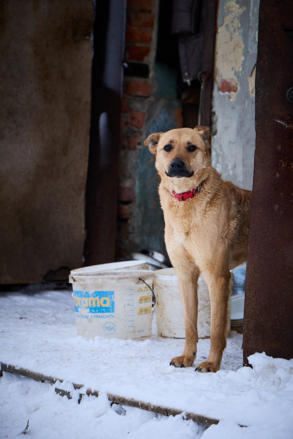 ph: Николай Коба