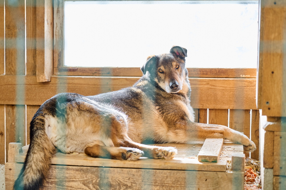 ph: Анна Молодожён