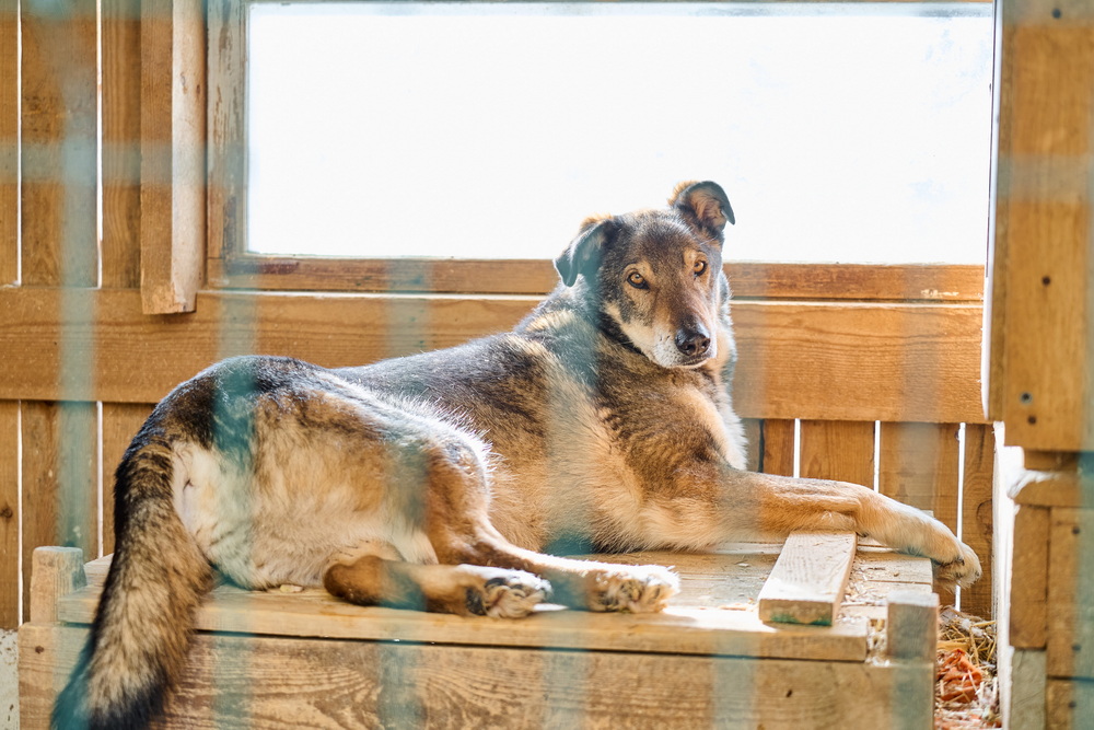 ph: Анна Молодожён