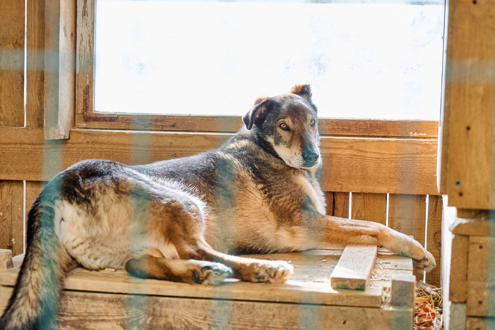 ph: Анна Молодожён