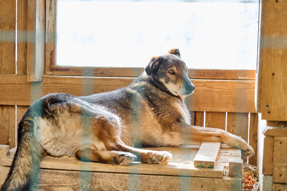 ph: Анна Молодожён