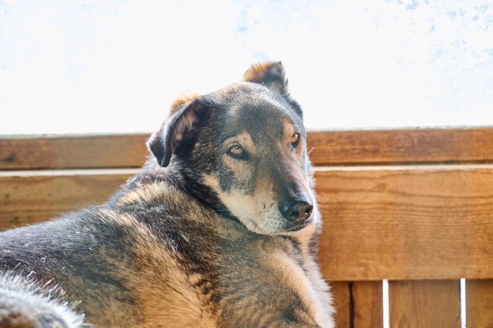 ph: Анна Молодожён