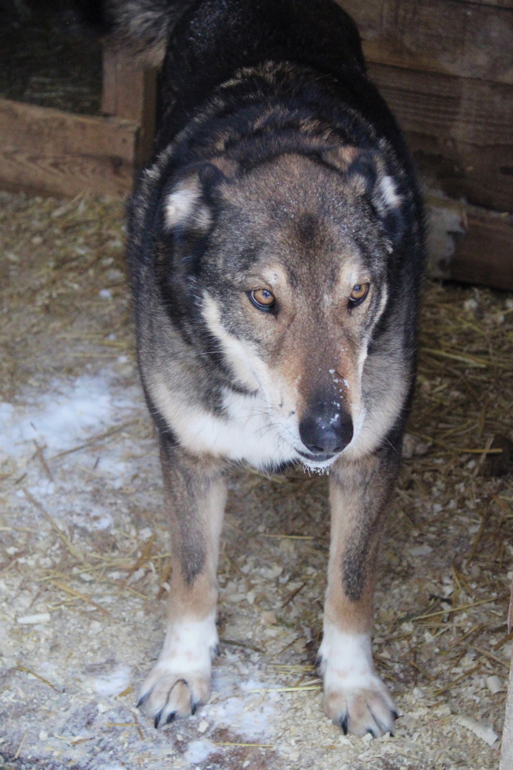 ph: Диана Стафеева