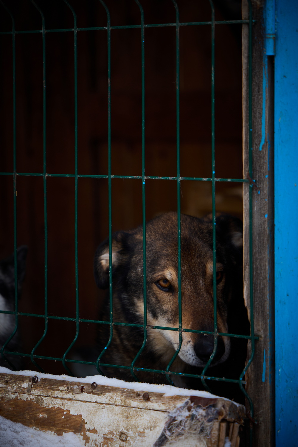 ph: Николай Коба