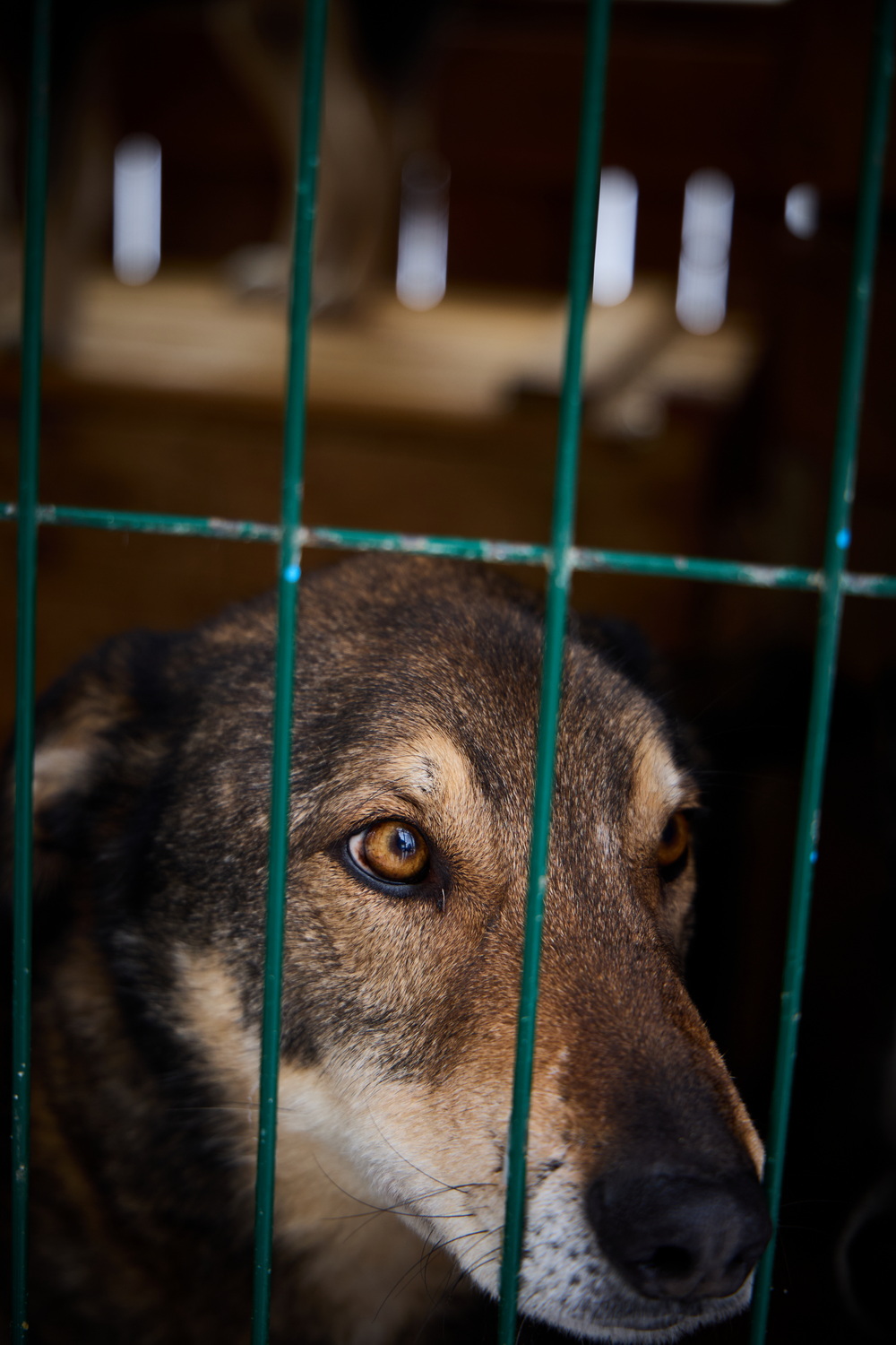 ph: Николай Коба