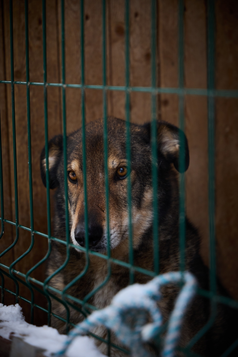 ph: Николай Коба