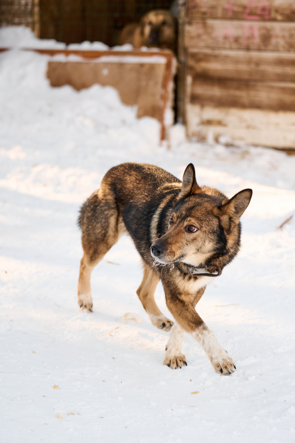 ph: Анна Молодожён