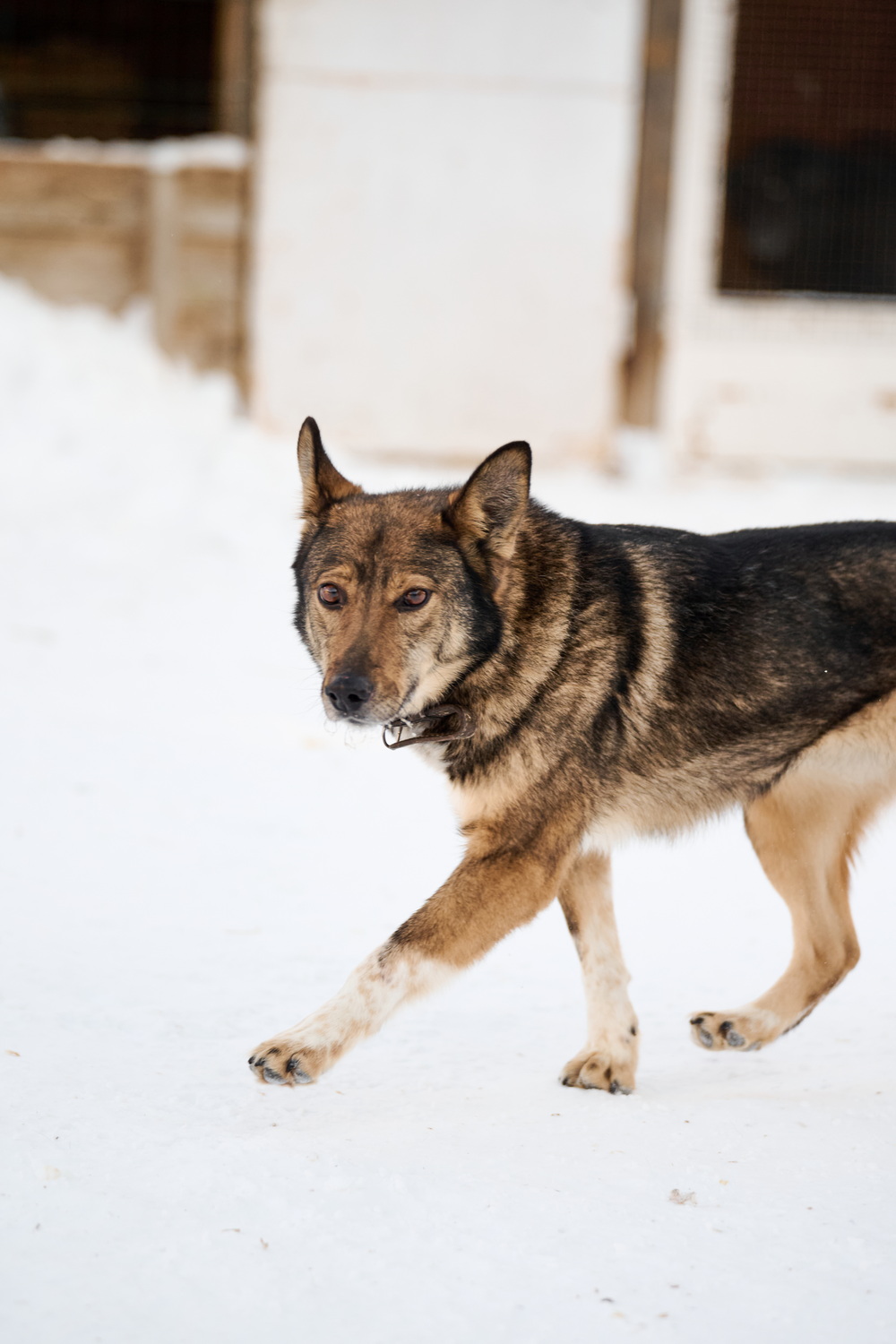 ph: Анна Молодожён