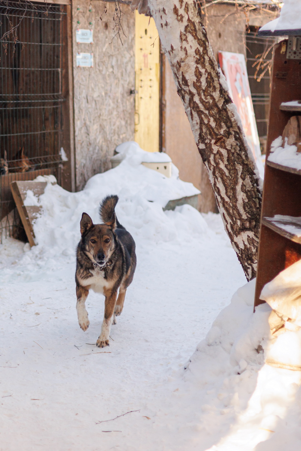 ph: Елена Тимофеева