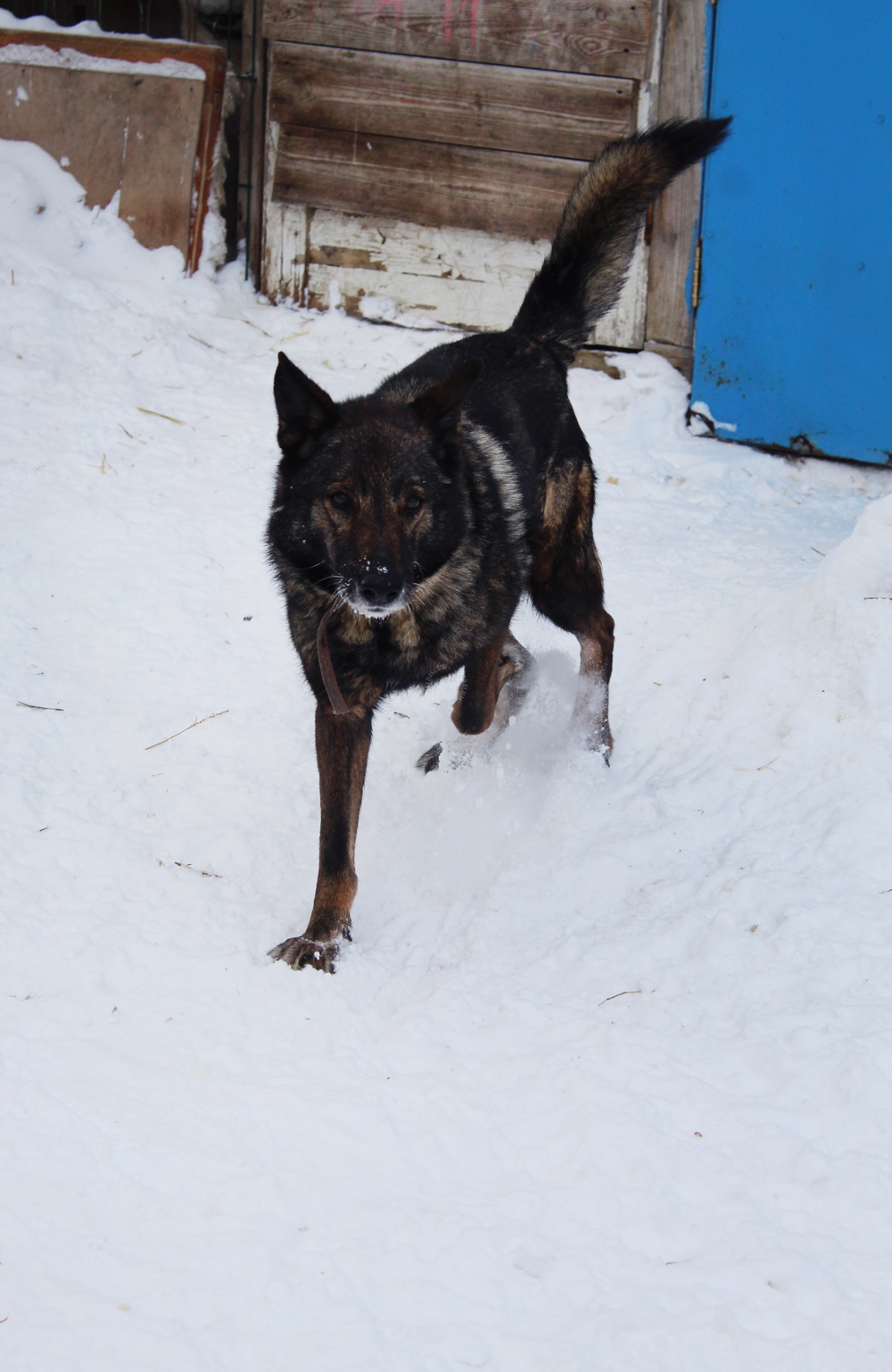 ph: Диана Стафеева