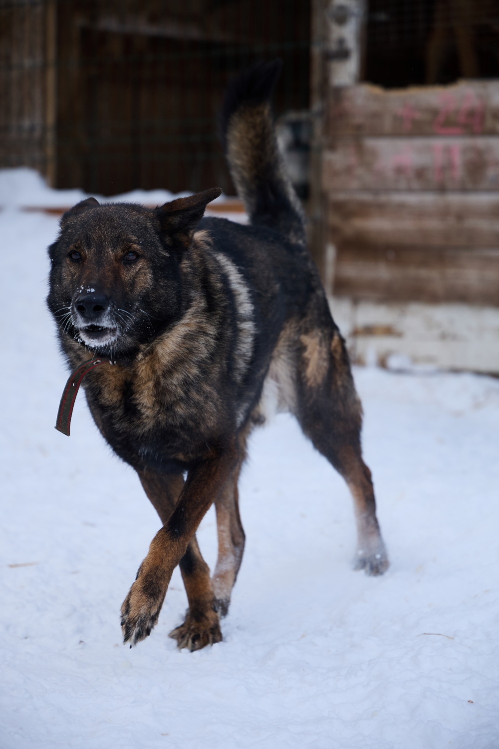 ph: Николай Коба