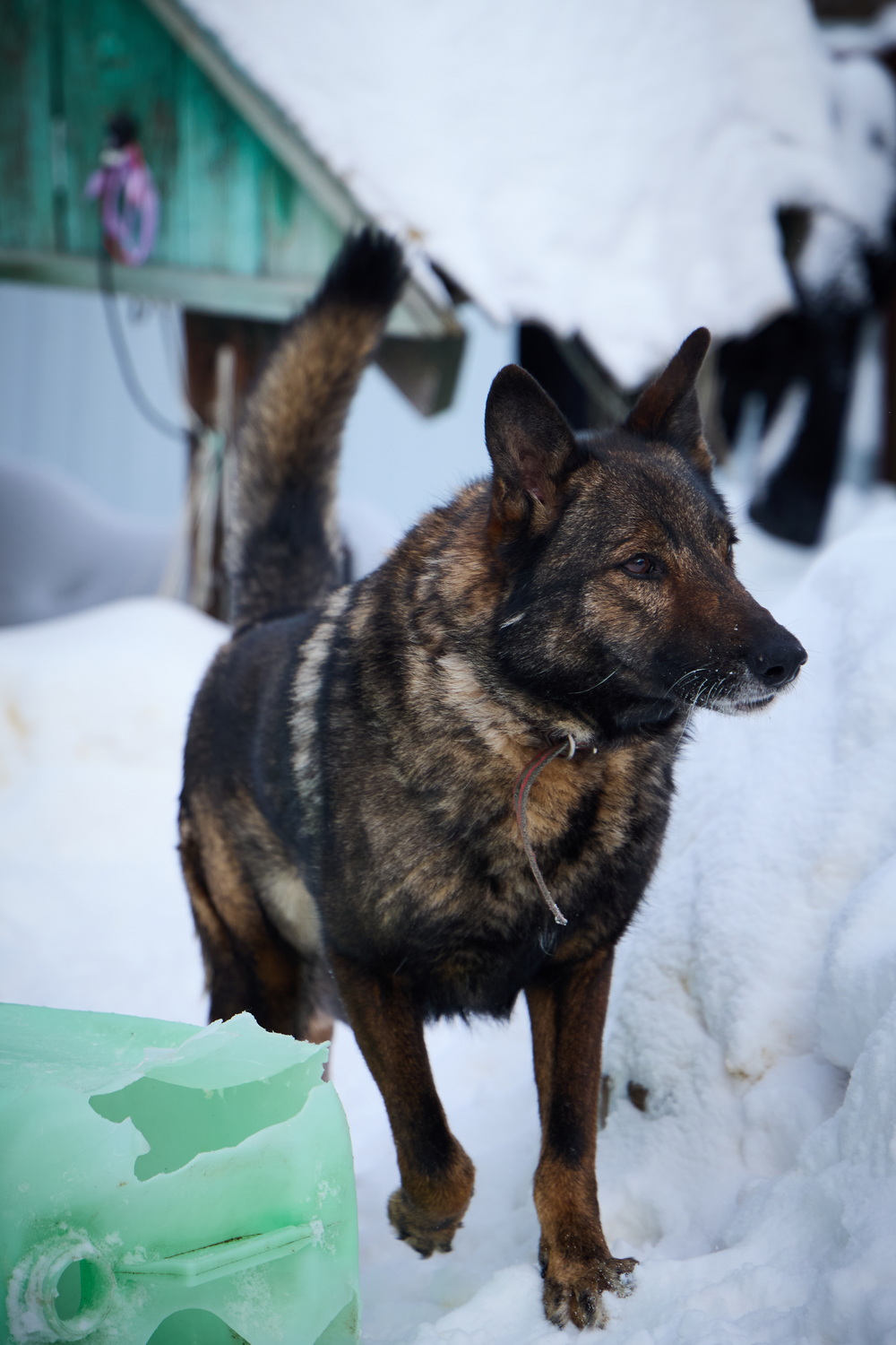 ph: Николай Коба