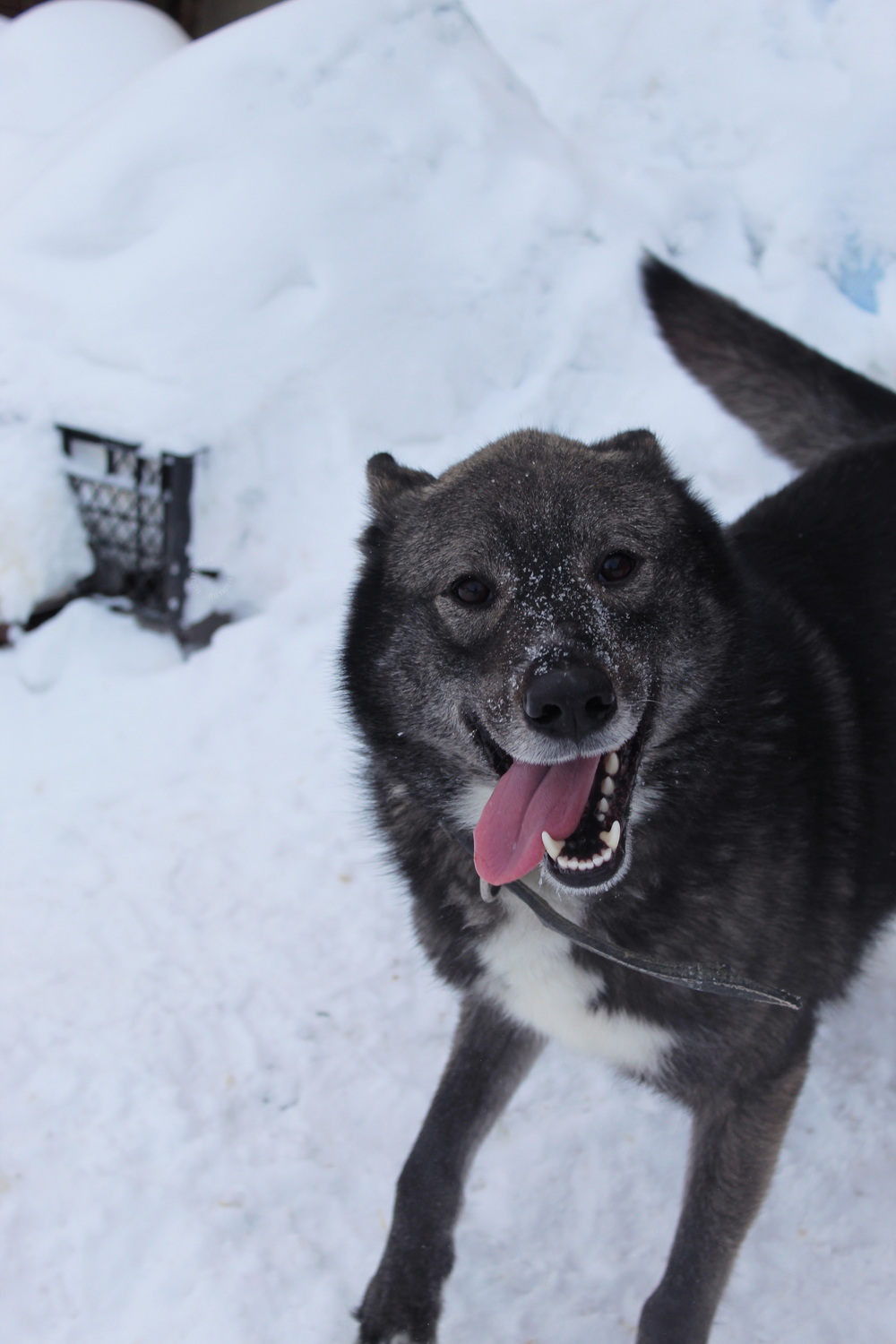 ph: Диана Стафеева