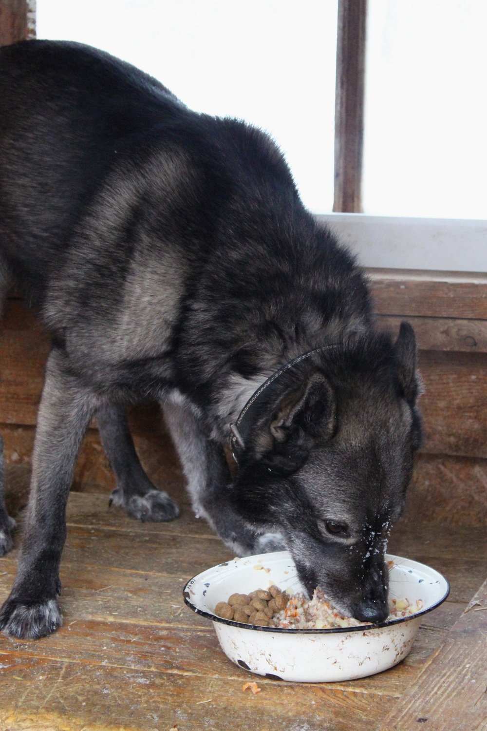 ph: Диана Стафеева