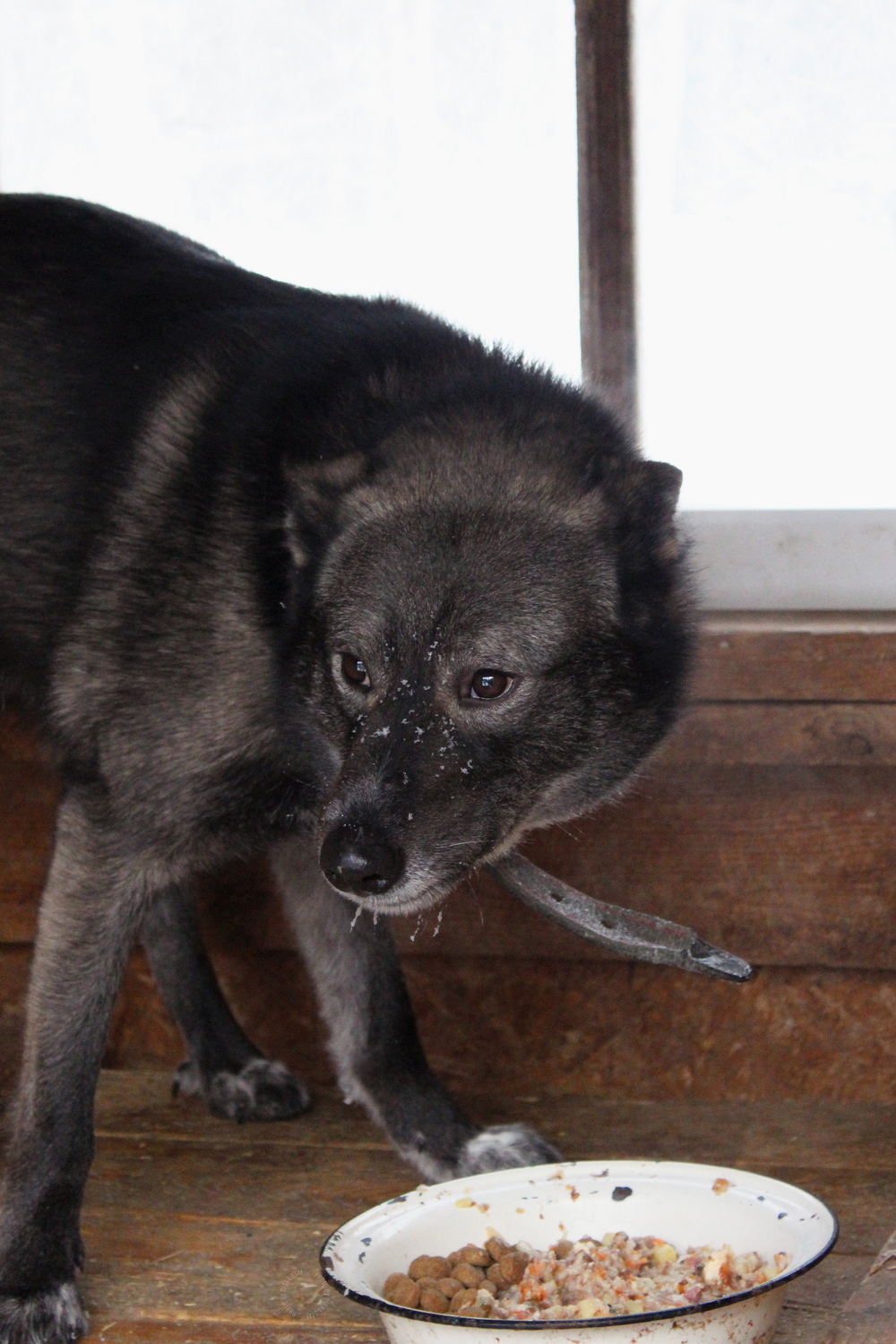 ph: Диана Стафеева