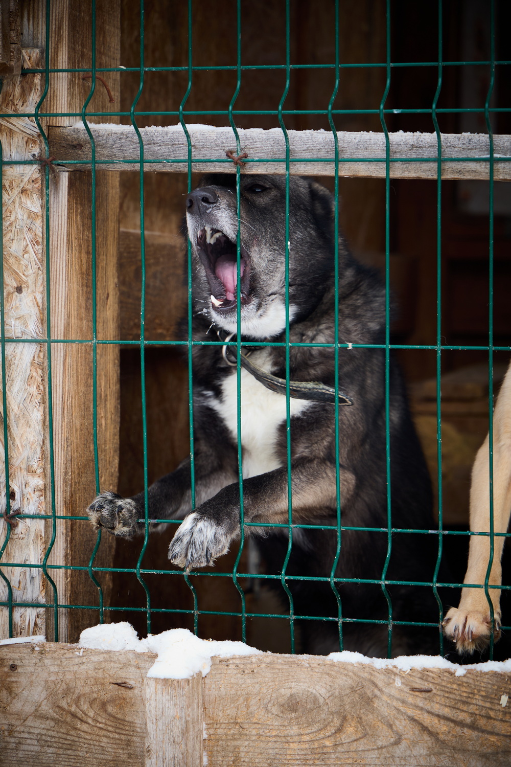 ph: Николай Коба