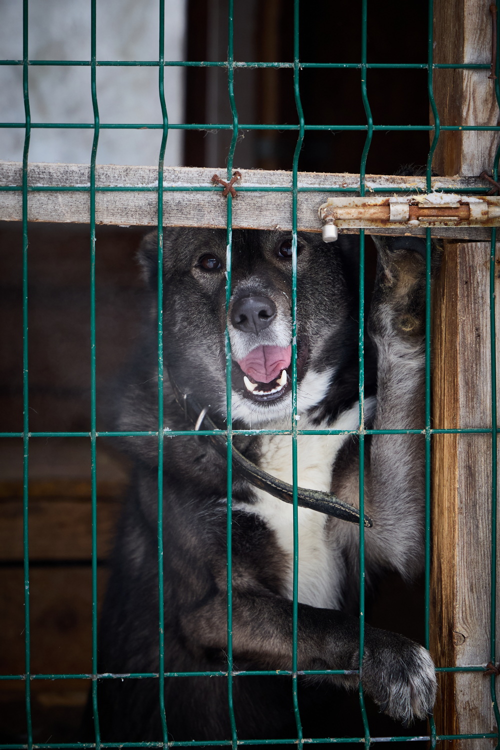 ph: Николай Коба