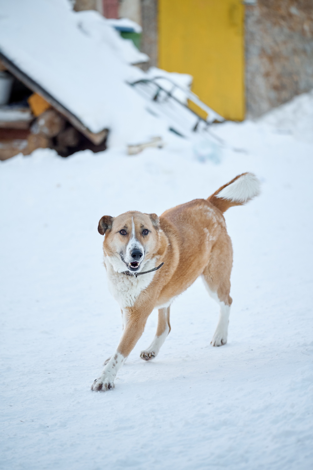 ph: Анна Молодожён